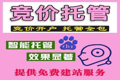 谷歌竞价实战：数据分析与优化技巧